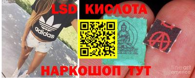 СК Канаш