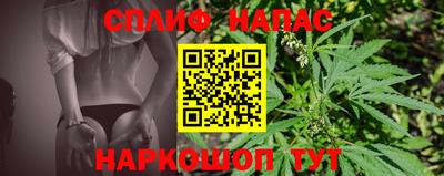 СК Канаш