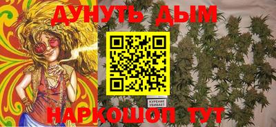 a pvp Камышлов