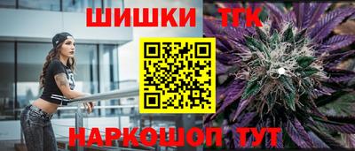 a pvp Камышлов