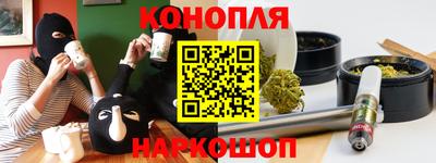 a pvp Камышлов