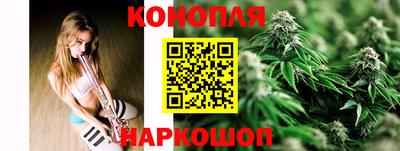 a pvp Камышлов