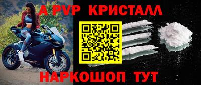 a pvp Камышлов