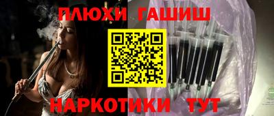 a pvp Камышлов