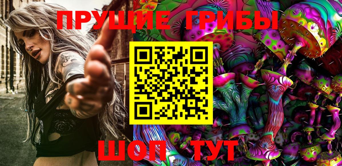 Псилоцибиновые грибы мицелий  Вход с VPN  сколько стоит  Волхов 