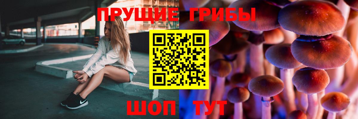 Галлюциногенные грибы GOLDEN TEACHER Волхов